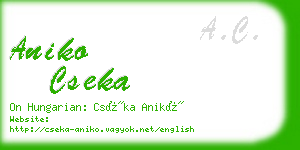 aniko cseka business card